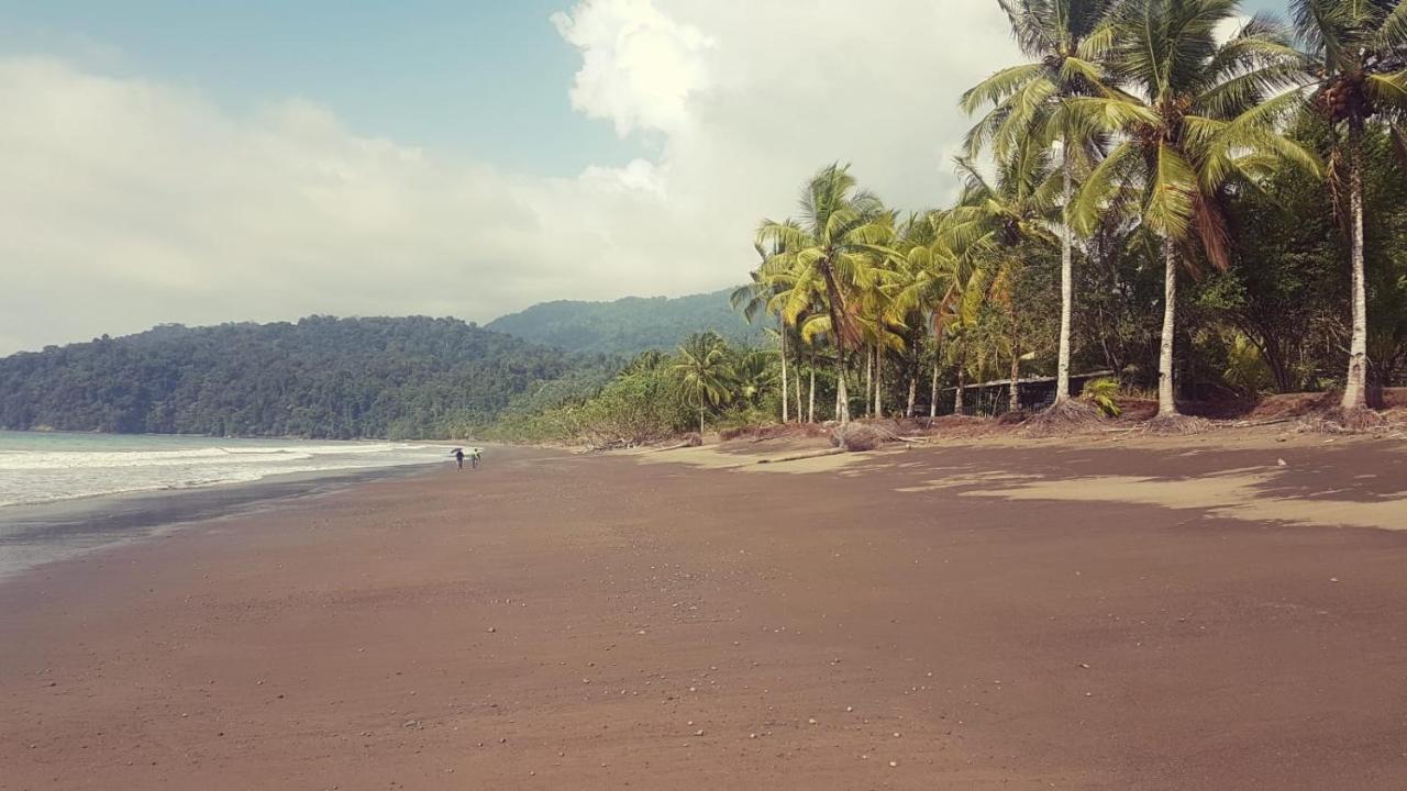 Paraiso Escondido Bahia Solano Eksteriør billede