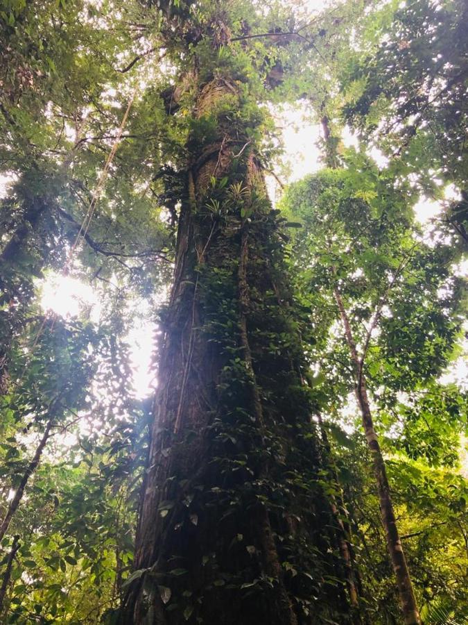 Paraiso Escondido Bahia Solano Eksteriør billede
