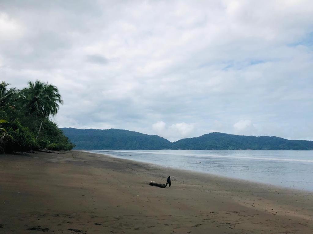 Paraiso Escondido Bahia Solano Eksteriør billede