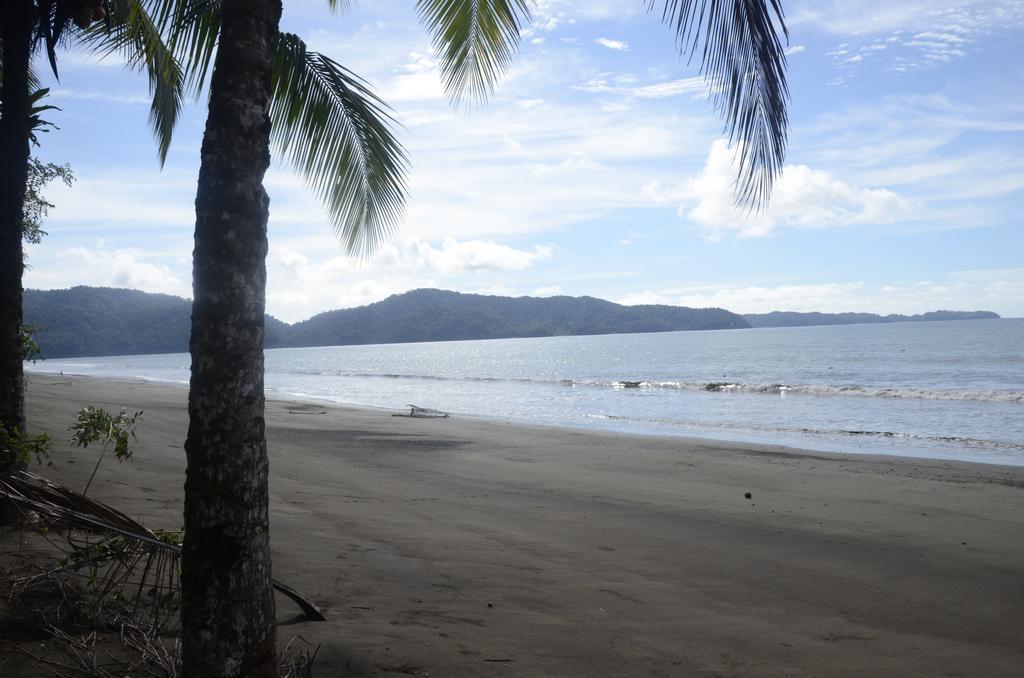 Paraiso Escondido Bahia Solano Eksteriør billede